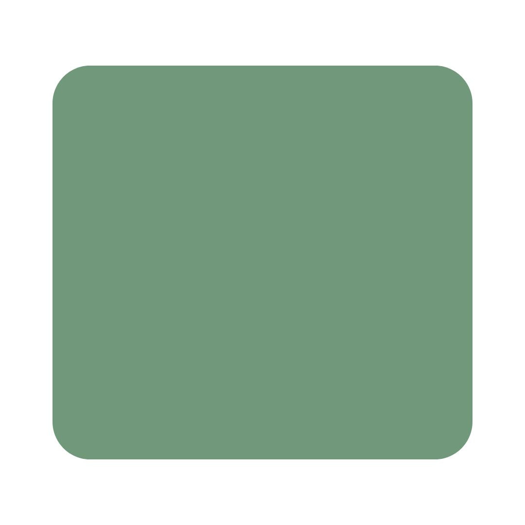 Cactus Engraved Stud Earrings