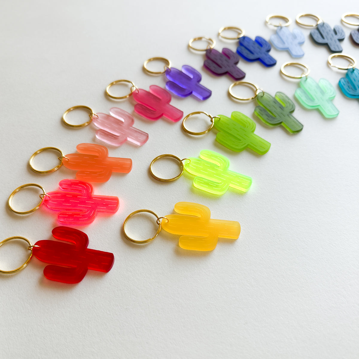 Acrylic Keychain Frosted Cactus